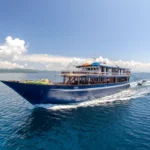 Wallacea diving cruise