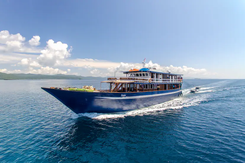 Wallacea diving cruise