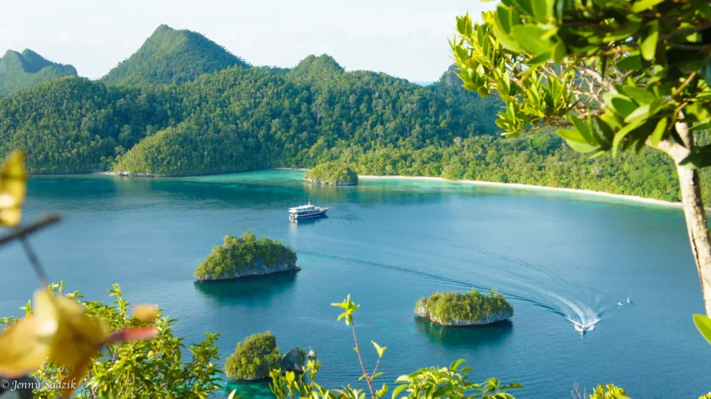 diving liveaboard in indonesia