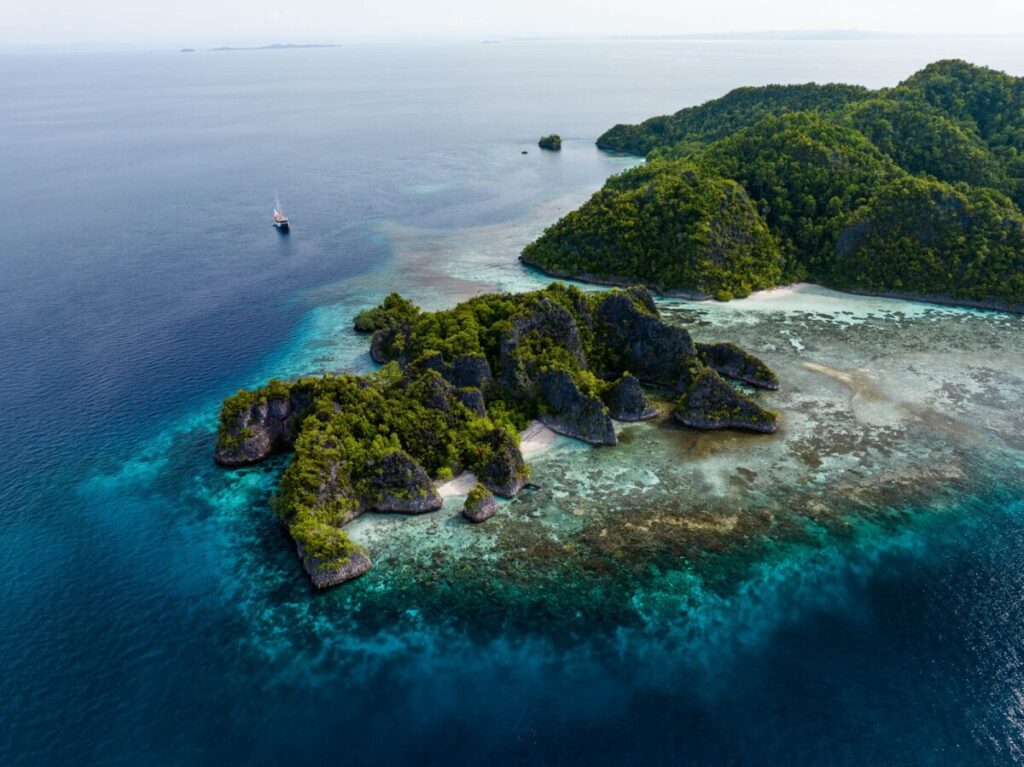 Raja Ampat - jakare